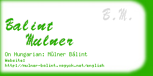 balint mulner business card